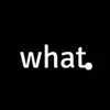 whatinthewhat.1