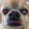 christiangallos_