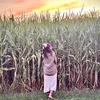 sun_chi1d333