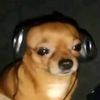 ethanl255
