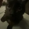 mljisk