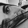 adiccohen_