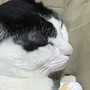 kari.zip