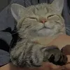 notirewards