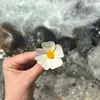 hellomynameiselif