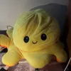 lynfj