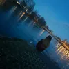_italia_girl