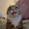 nessmrrr