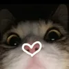 s_piritualkitty