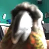 feathersscalesfur