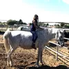 vanessaü