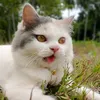 miskka07