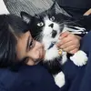 skythetiktokcat