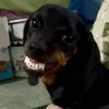 tuytnguyn5