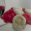 mimamimila