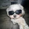 belle_castilho