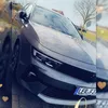 franzibanzii