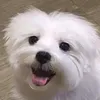cloudy_boooo