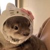 its.pernilla
