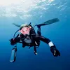 divewithmarlies