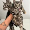 tonyandjunebug
