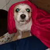 cocomunchi