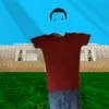 daynull_