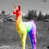 magicaltucklz