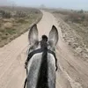 stajniaulaskizogcza