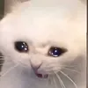 mrlumpy123