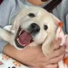 lucie_sophie