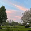 _username1331