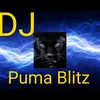 dj_puma_blitz