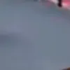 typhoonmu