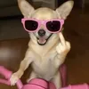 forgammeltiltiktok