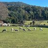 australiacountryside