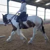 _kaitlynlouiseb_