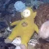 fishythangy