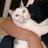 lizz23m