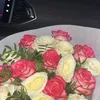 sln_32
