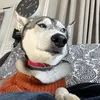salma_lustre09