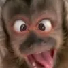 nunuggl