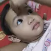 llameer