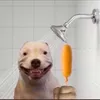 eshhgo