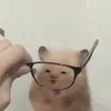 iilwybgi