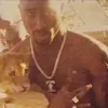 vincenzodistasio20