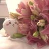 sleepychou