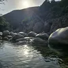 laura_cottone