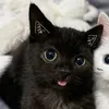 lhxrdl