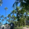 rodrigues.vitoria6